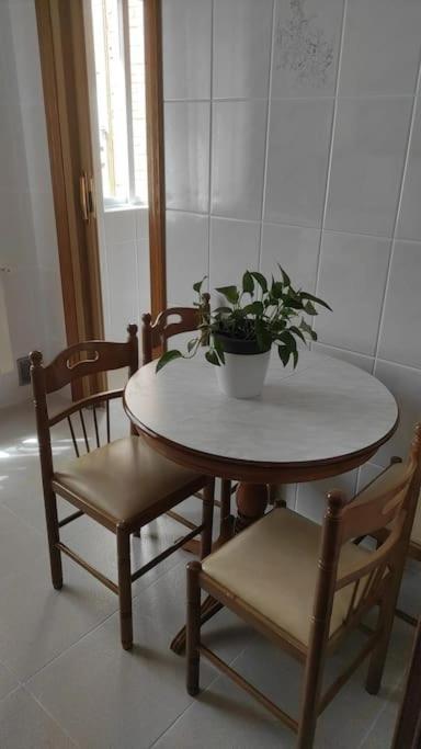 Appartamento Ohana Palencia Esterno foto
